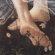 Details of Primavera (mk36) Sandro Botticelli